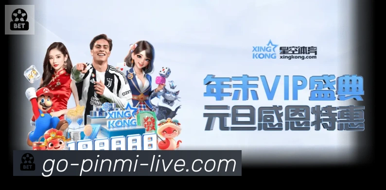 奖项证书
